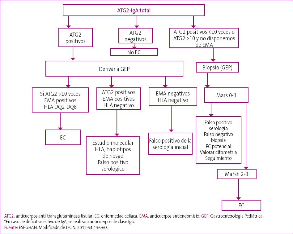 Figura 1. Indicaciones de biopsia intestinal ante la sospecha de enfermedad celiaca. Paciente sintomático