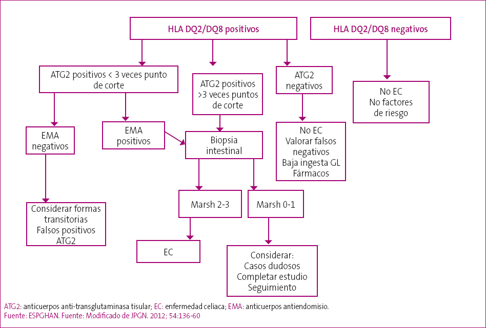 Figura 2. Algoritmo para pacientes asintomáticos HLA DQ2/DQ8