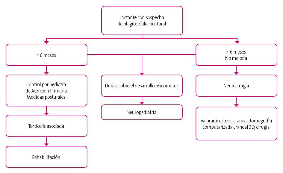 Figura 4. Algoritmo de actuación ante deformidades craneales en consulta de Pediatría