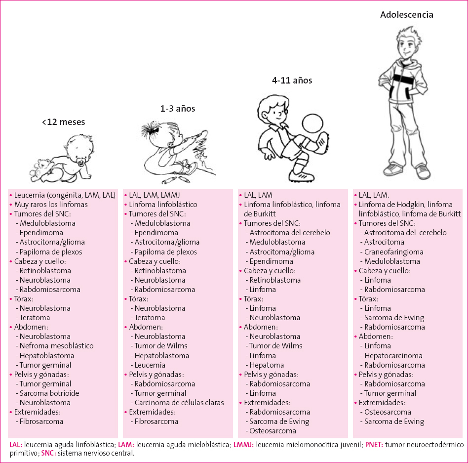 Figura 2. Predominio del tipo de cáncer infantil según edad y localización