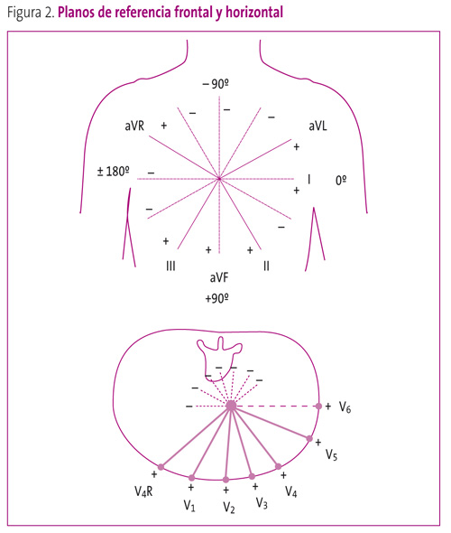 Figura 2. Planos de referencia frontal y horizontal