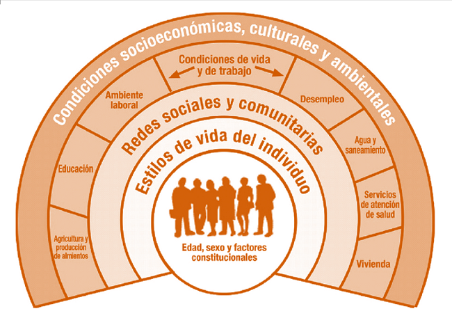 Modelo de determinantes de salud. 