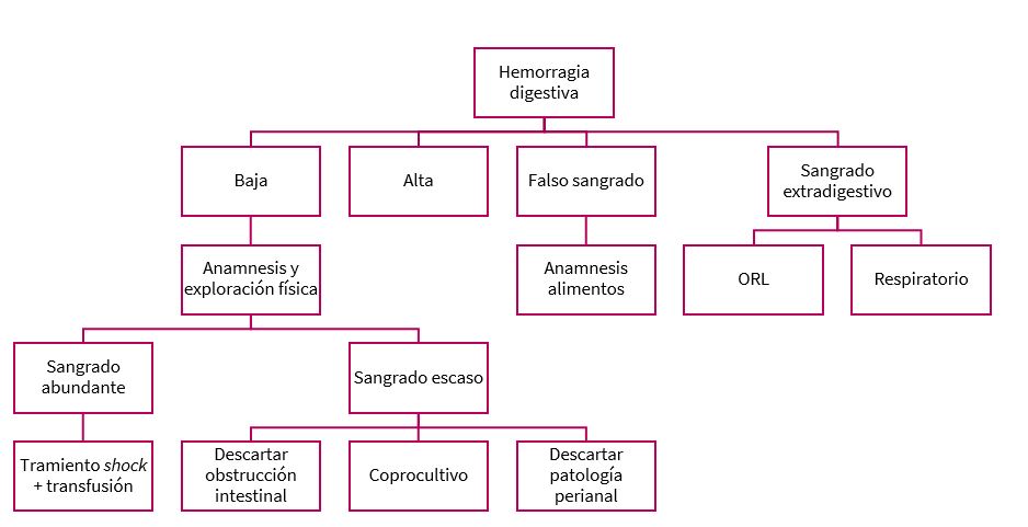 Diagnóstico diferencial de hemorragia digestiva baja.