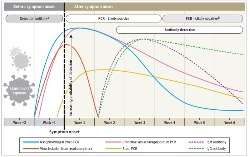Figura 1. Variación en el tiempo estimada en las pruebas diagnósticas de SARS-CoV-2 relacionadas con el inicio de los síntomas