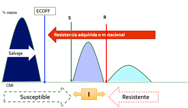 Figura 1. Ecoff y fenotipos de resistencia.