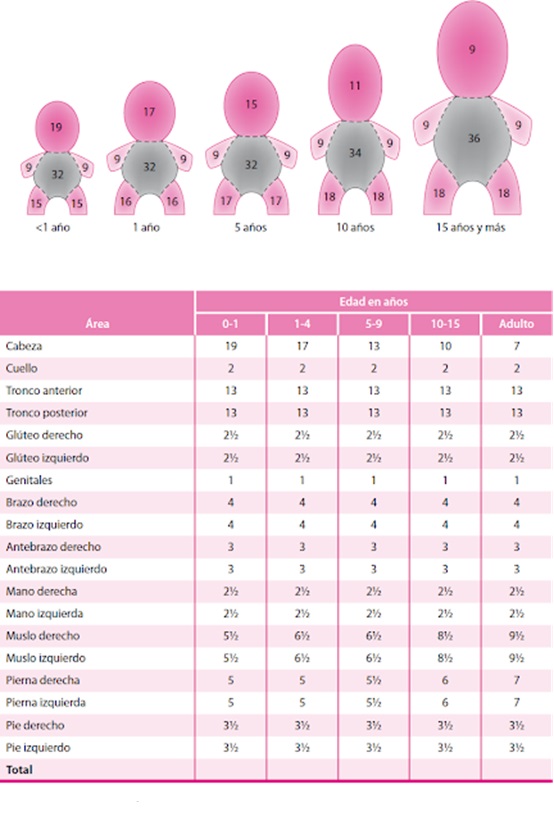 FAPap - Manejo-de-quemaduras-y-heridas-en-las-consultas-de-pediatria-de ...