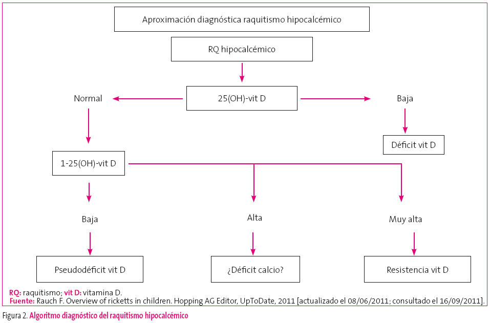 Figura 2. Algoritmo diagnóstico del raquitismo hipocalcémico