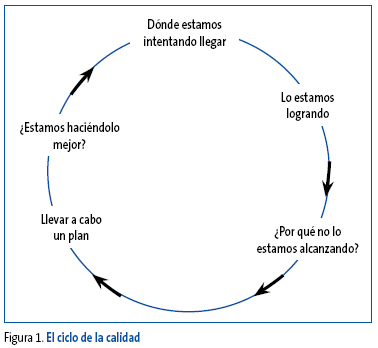 Figura 1. El ciclo de la calidad