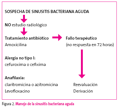 Figura 2. Manejo de la sinusitis bacteriana aguda